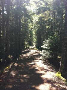 Hiking Trail 