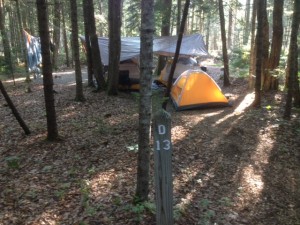 Seawall Campground Site D13