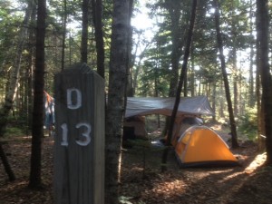 Seawall Campground Site D13