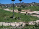 blog_sd_wildpark1