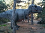 blog_sd_wildpark2