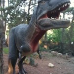 blog_sd_wildpark3