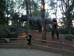 blog_sd_wildpark4