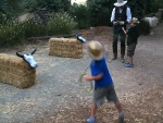 blog_sd_wildpark6