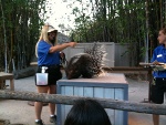blog_sd_wildpark7