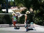 blog_sdzoo1