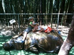 blog_sdzoo2