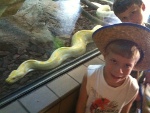 blog_sdzoo4