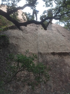 rock climbing at erock