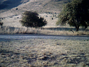 A great picture of the Davis Mountains.