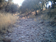 Another picture from the Davis Mountains.